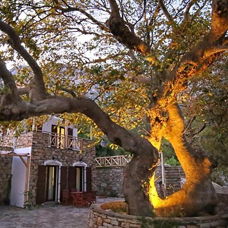 Ικαριων Γη Villa Manganítis Exterior foto