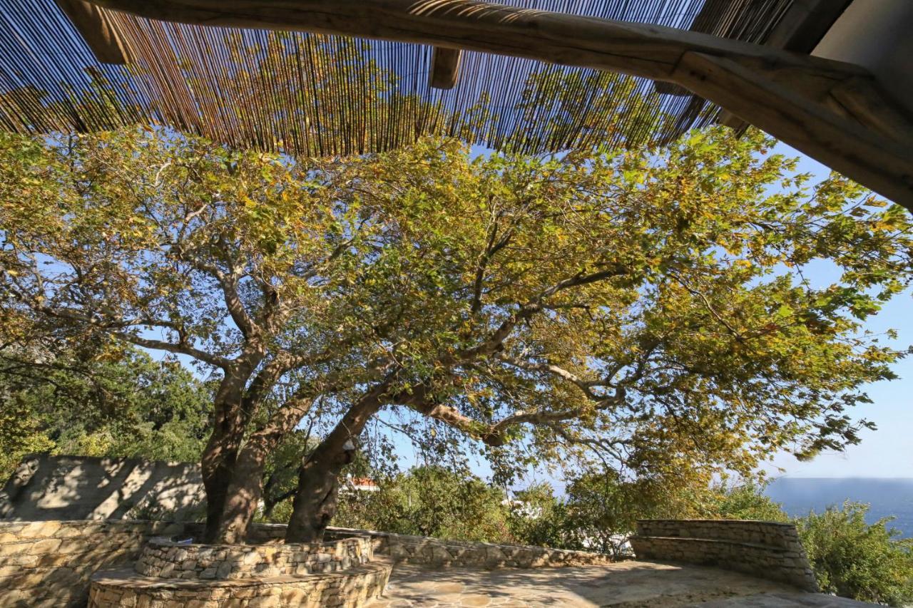Ικαριων Γη Villa Manganítis Exterior foto