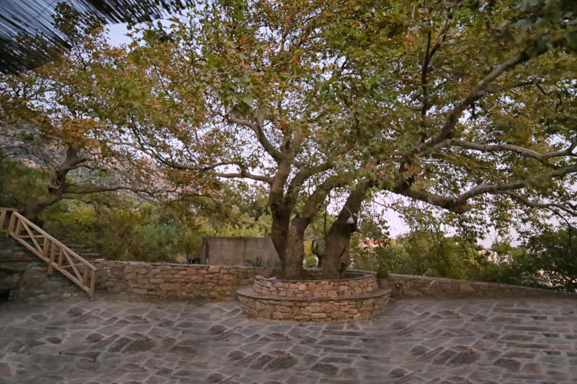 Ικαριων Γη Villa Manganítis Exterior foto