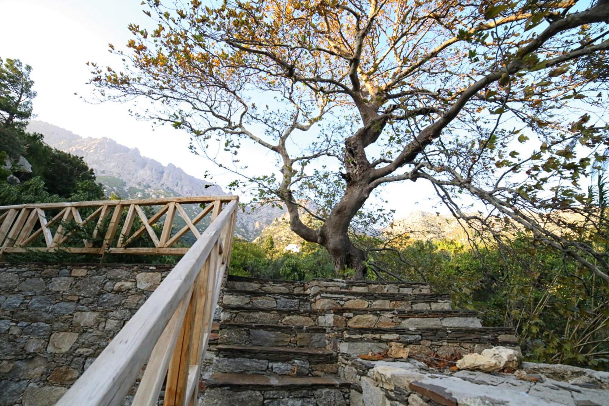 Ικαριων Γη Villa Manganítis Exterior foto